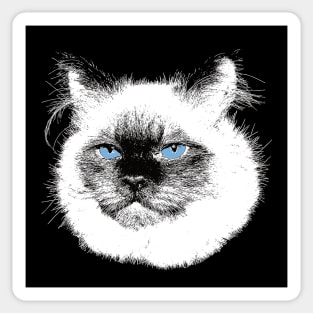 Ragdoll Cat Christmas Gift For Ragdoll Owners Sticker